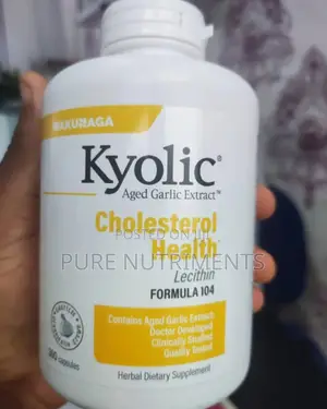 Kyolic Aged Garlic Extract – Cholesterol Health 300 Caps