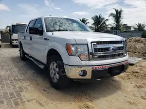 Ford F-150 2013 White
