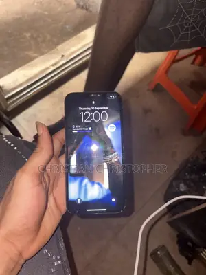 Apple iPhone 12 Pro Max 256 GB Blue
