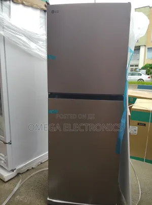 LG Inverter Standing Fridge