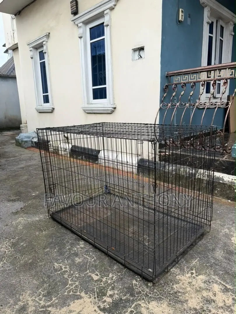 Metal Dog Cage