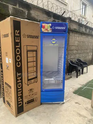 SNOWSEA LC-500W Standing Display Cooler