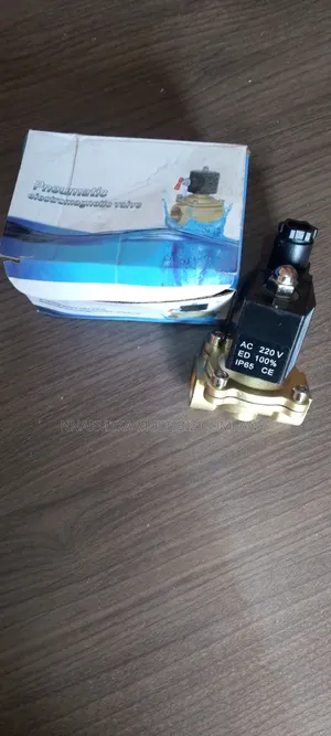 Pneumatic Electromagnetic Valve 2w-160-15