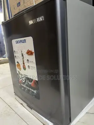 Skyrun 48L Portable-Size Mini Fridge