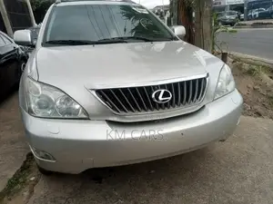 Lexus RX 2007 Gray