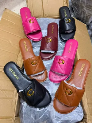 Luxury Female Hand Bags and Footwear