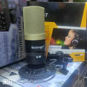 Recording Condenser Mic B99