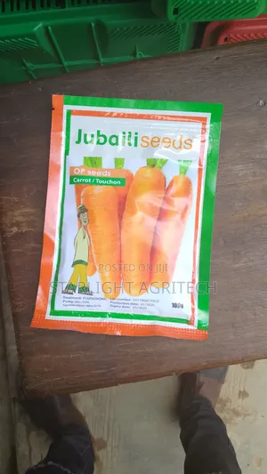 Carrot Touchon Seed
