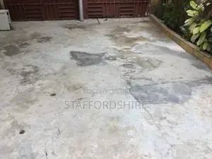 Paving Stones/Interlocking Cleaning
