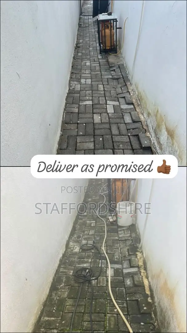 Paving Stones/Interlocking Cleaning