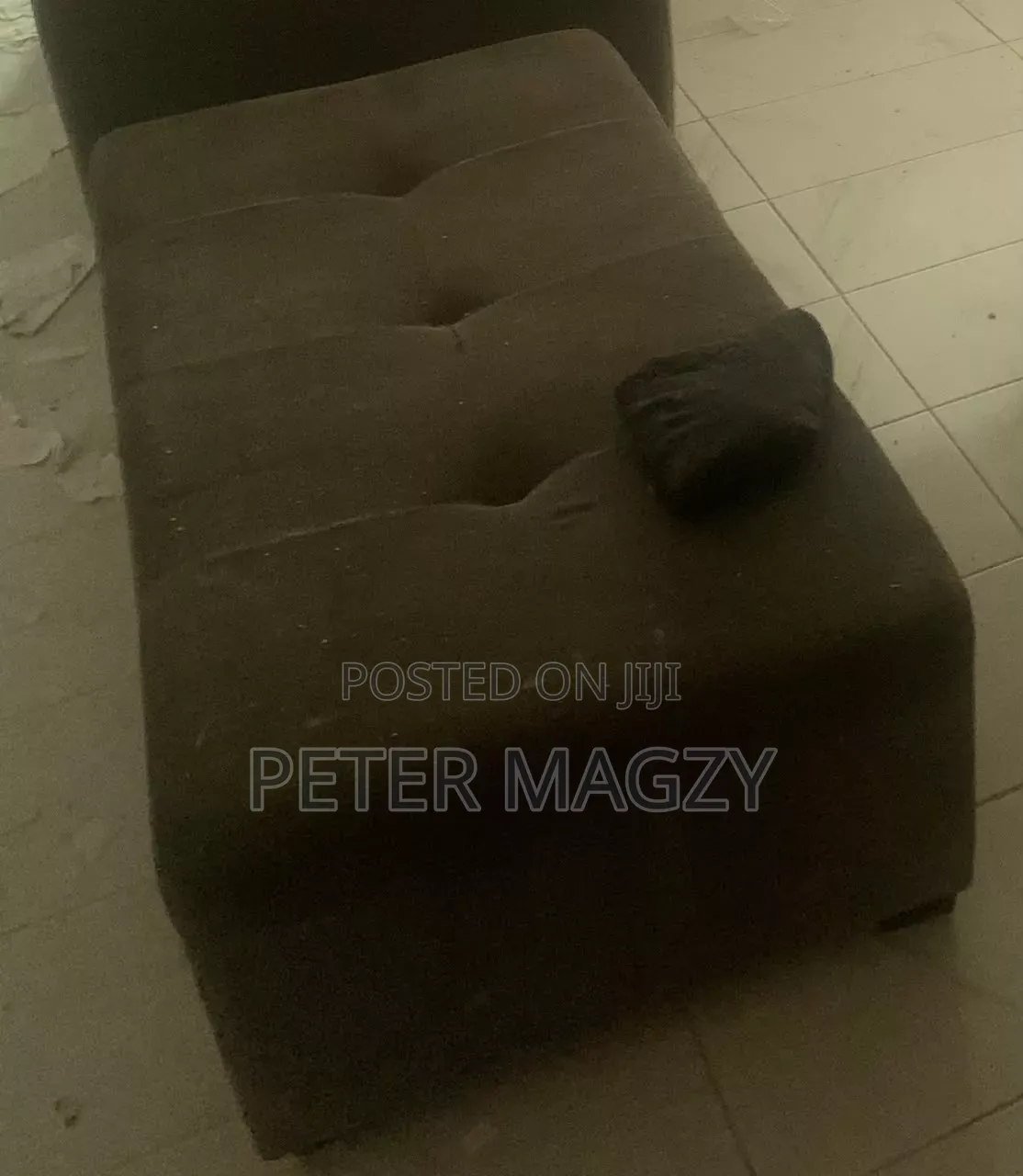 9 Setter Chairs