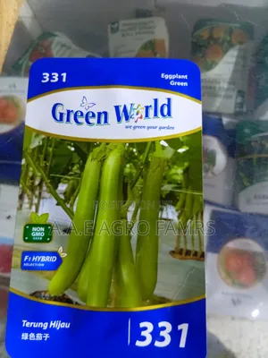 Eggplant Green F1 Seeds