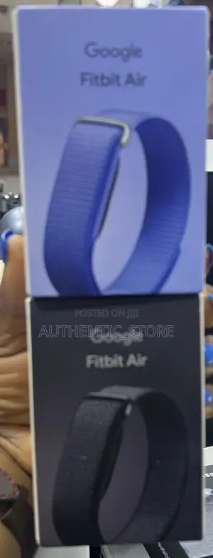 Google Fitbit Air