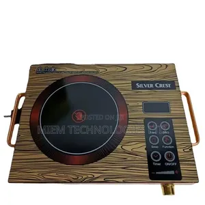 Induction Electrical Hotplate