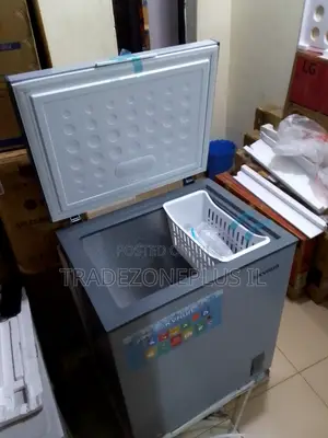 Affordable Skyrun 145A Deep Freezer – Order Yours Today
