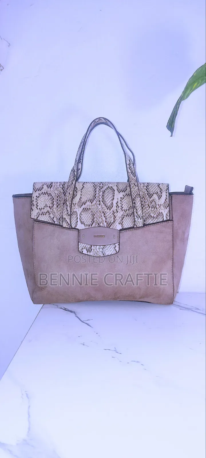 Luxury Bag