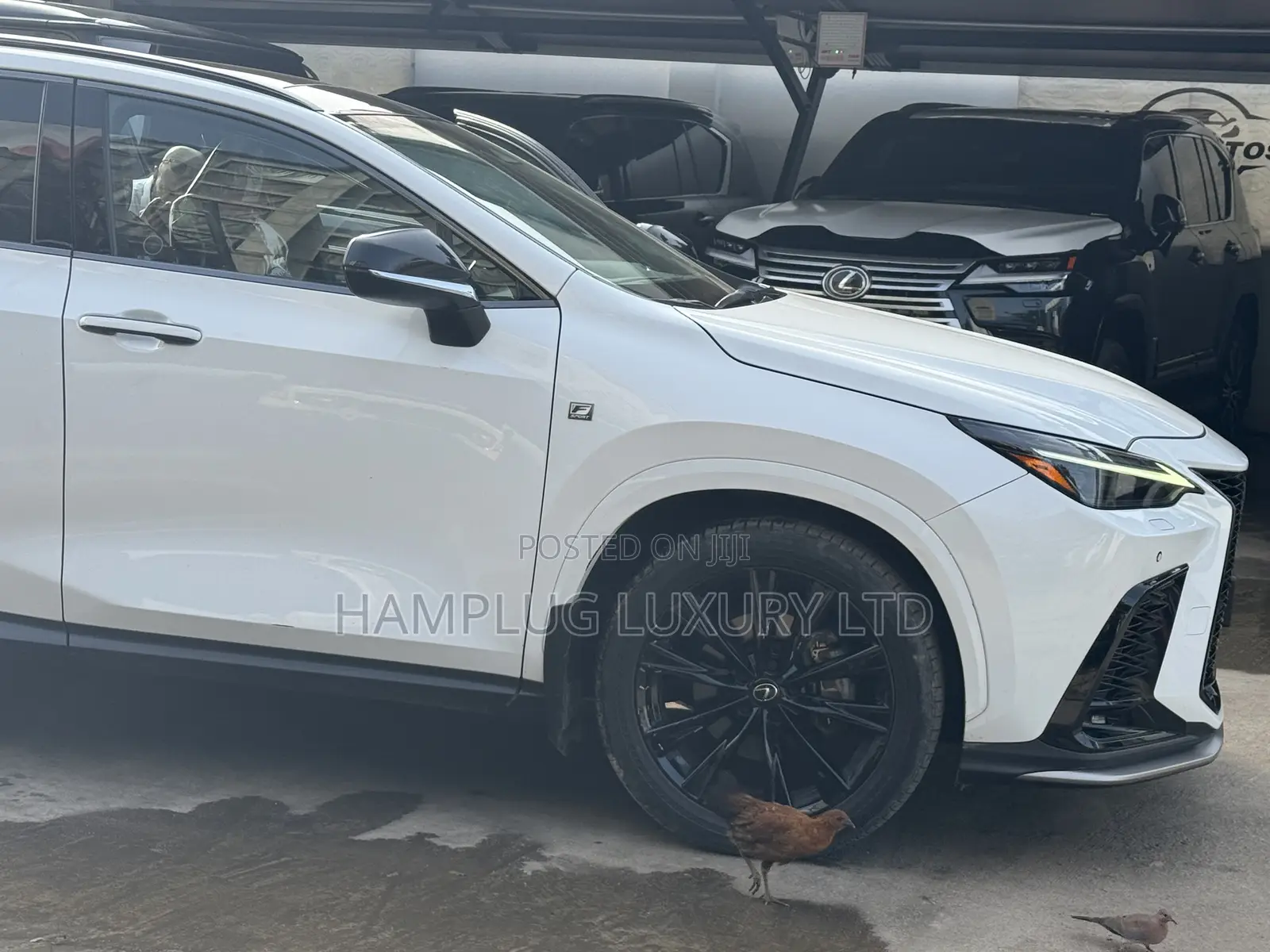 Lexus NX 2024 White