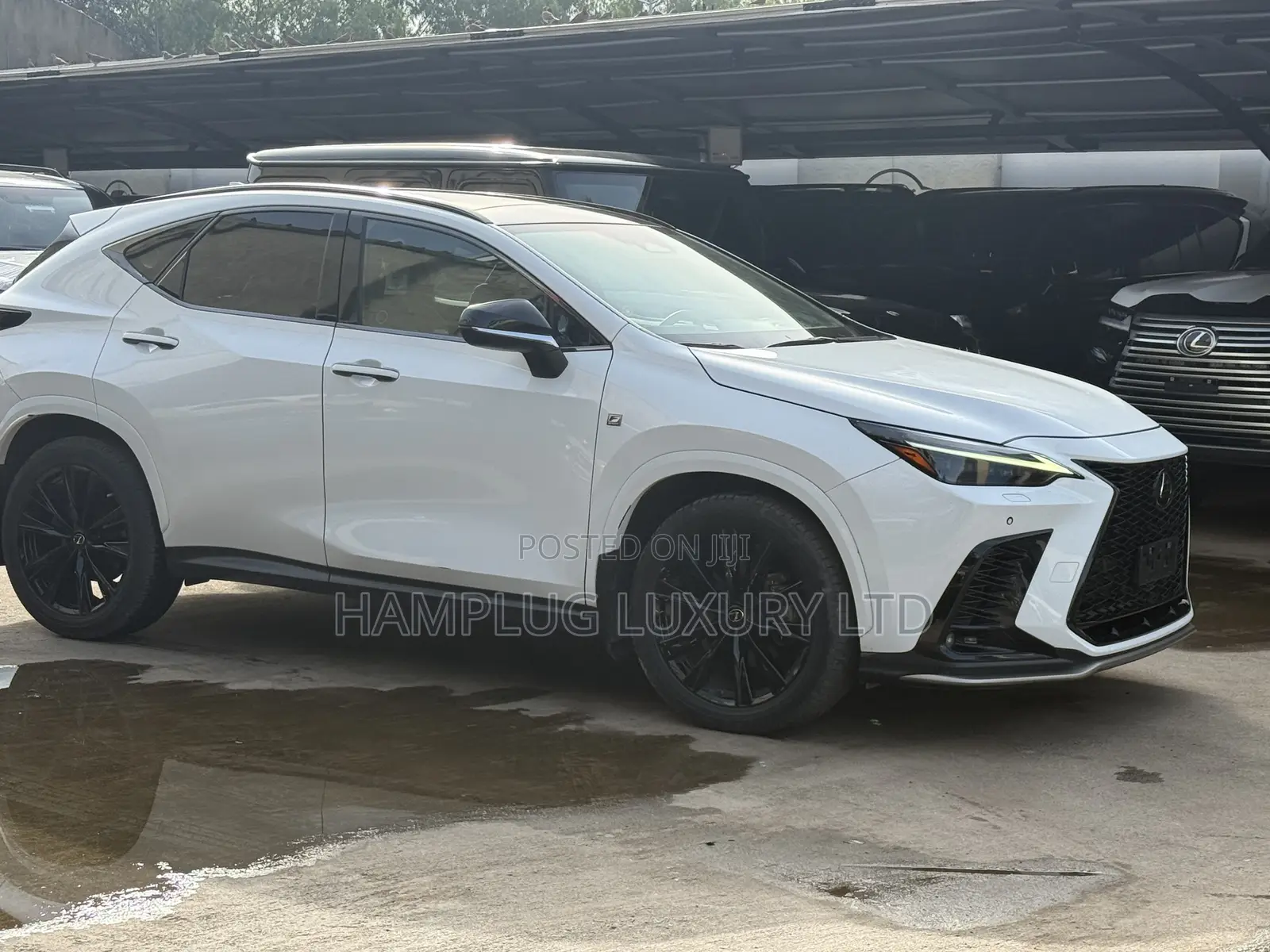 Lexus NX 2024 White