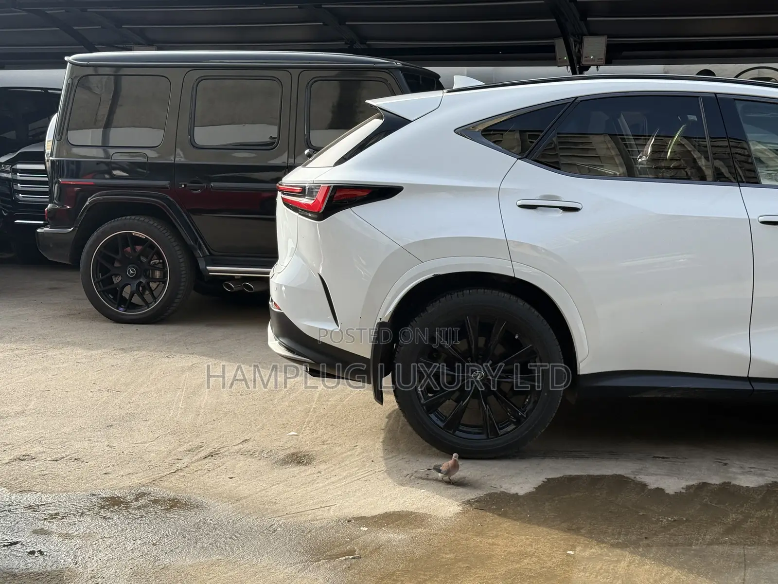 Lexus NX 2024 White