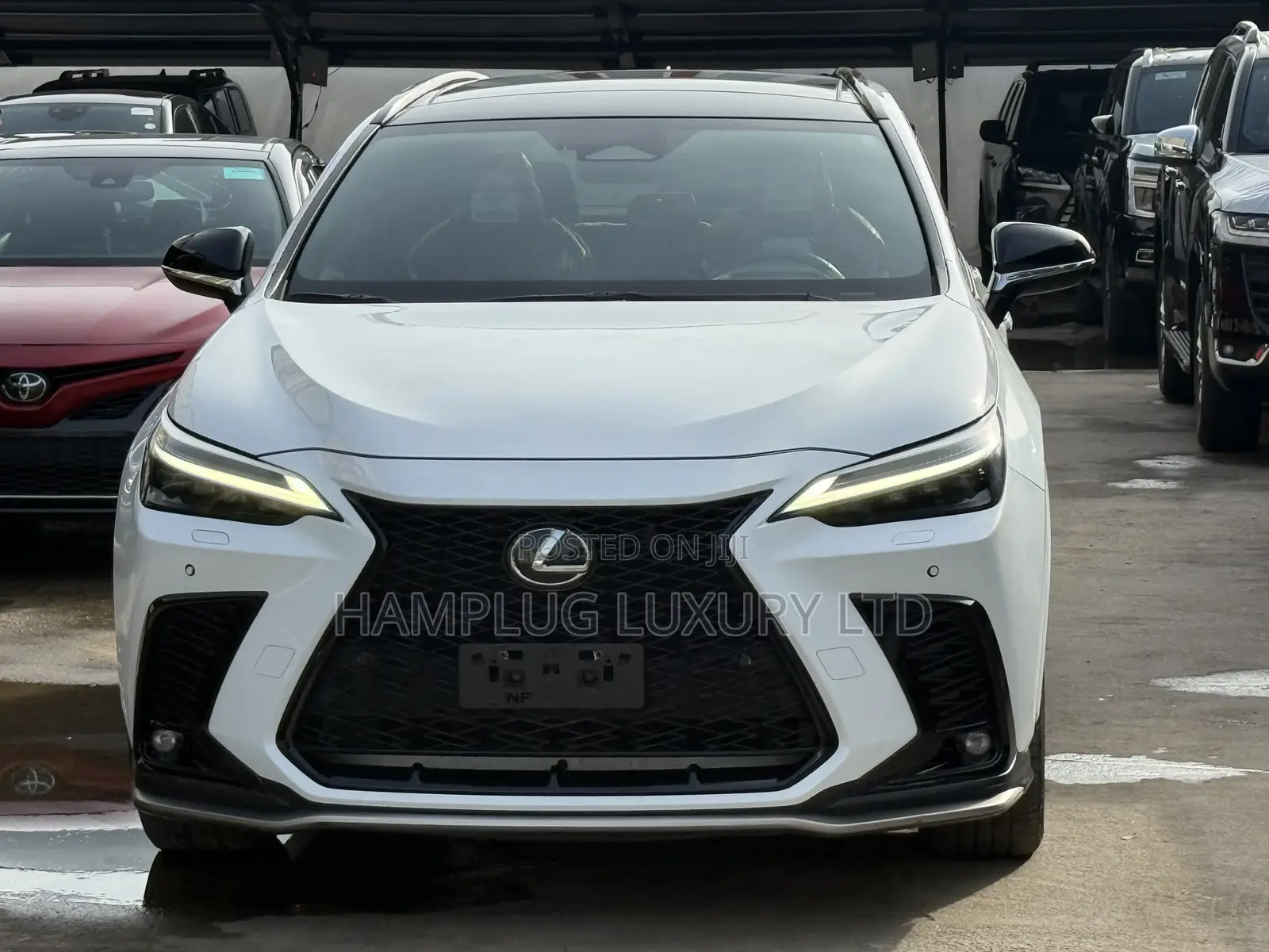 Lexus NX 2024 White