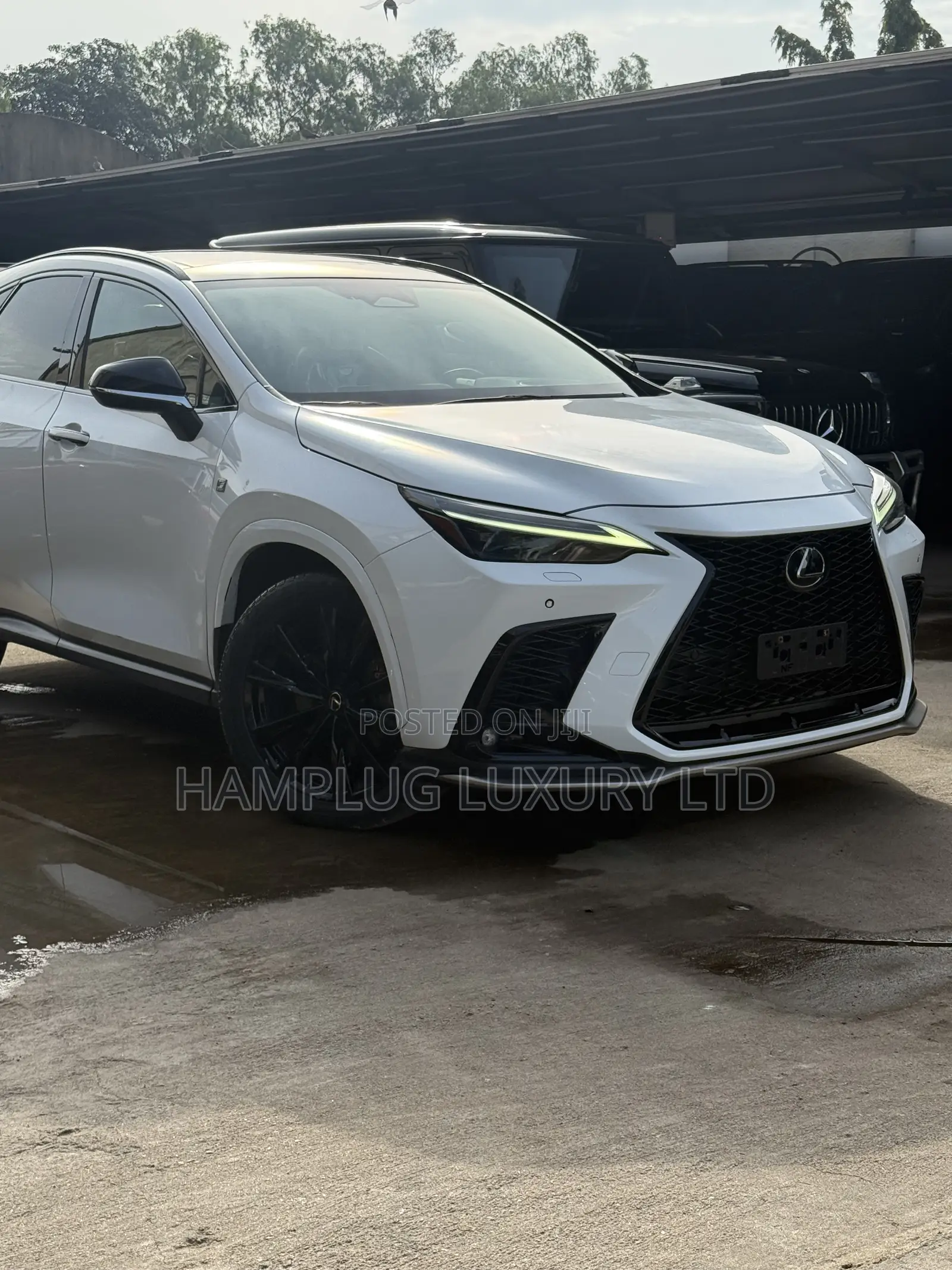 Lexus NX 2024 White