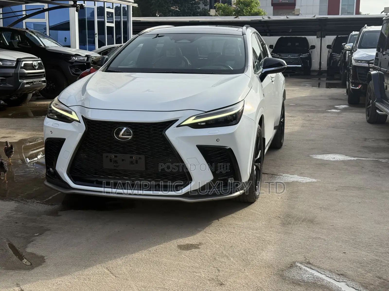 Lexus NX 2024 White