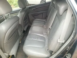 Hyundai Santa Fe 2007 Blue