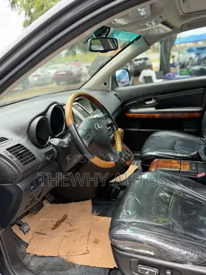 Lexus RX 350 2007 Gray