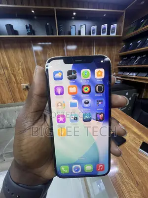 Apple iPhone 12 Pro Max 256 GB Gold
