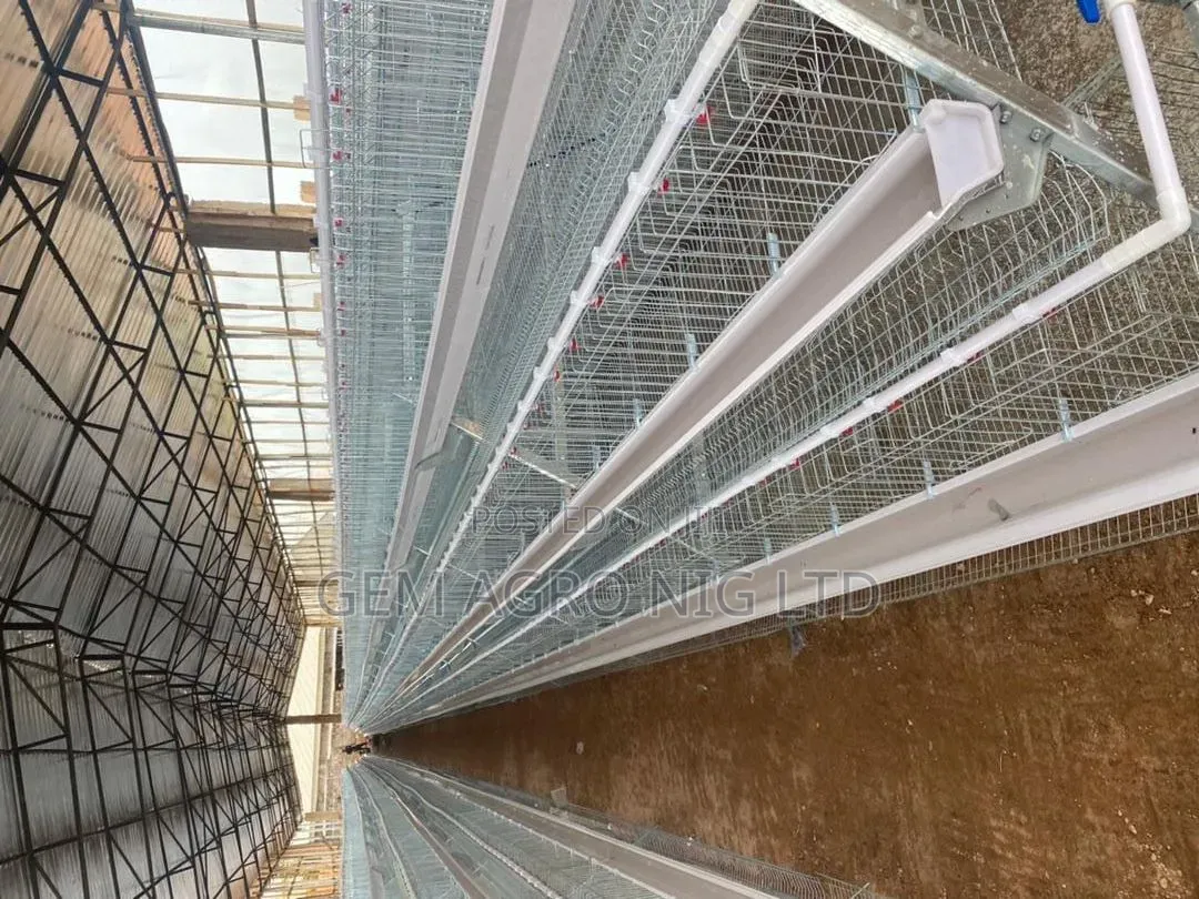 Poultry Layers Battery Cage