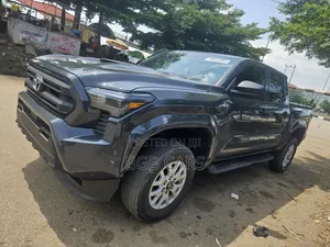 Toyota Tacoma 2024 Gray