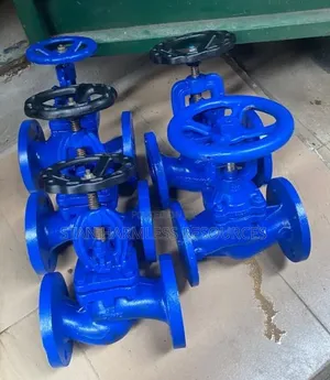 Flanged Globe Valve 4"