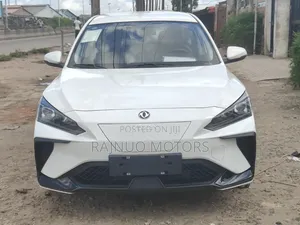 New Dongfeng EV EX1 2025 White