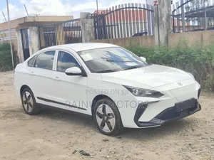 New Dongfeng EV EX1 2025 White