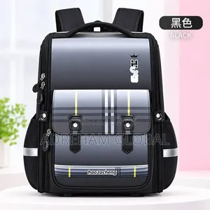 Quality Classy Orthopedic Box Shape School Bag( for Higher Pri Class