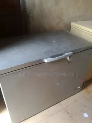 Deep Freezer 300L