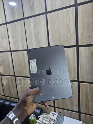 Apple iPad Air 256 GB Gray