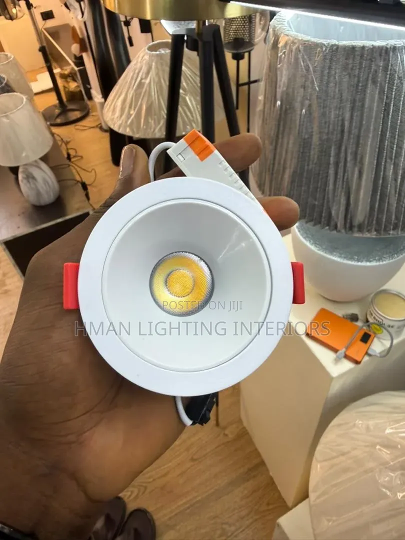 Lighting Fittings