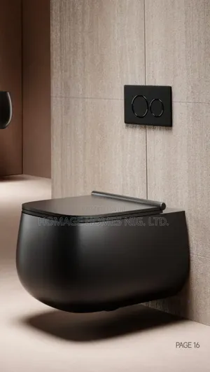 Luxury Wall Hung Concealed Wc Black