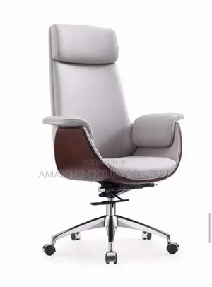 Luxury Executive Office Chair
