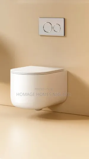 Uniquely Shaped Wall Hung Wc
