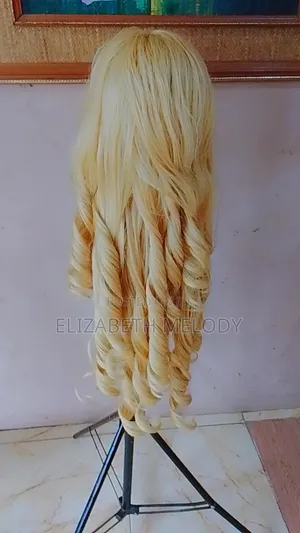 Human Hair Wigs