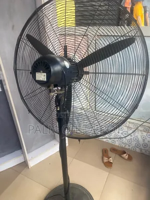 Standing Fan