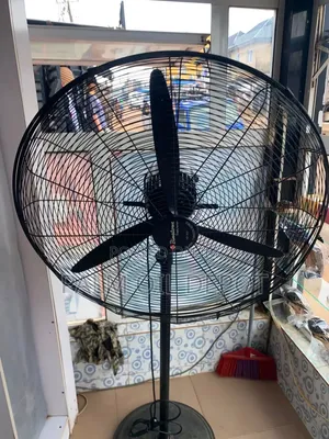 Standing Fan