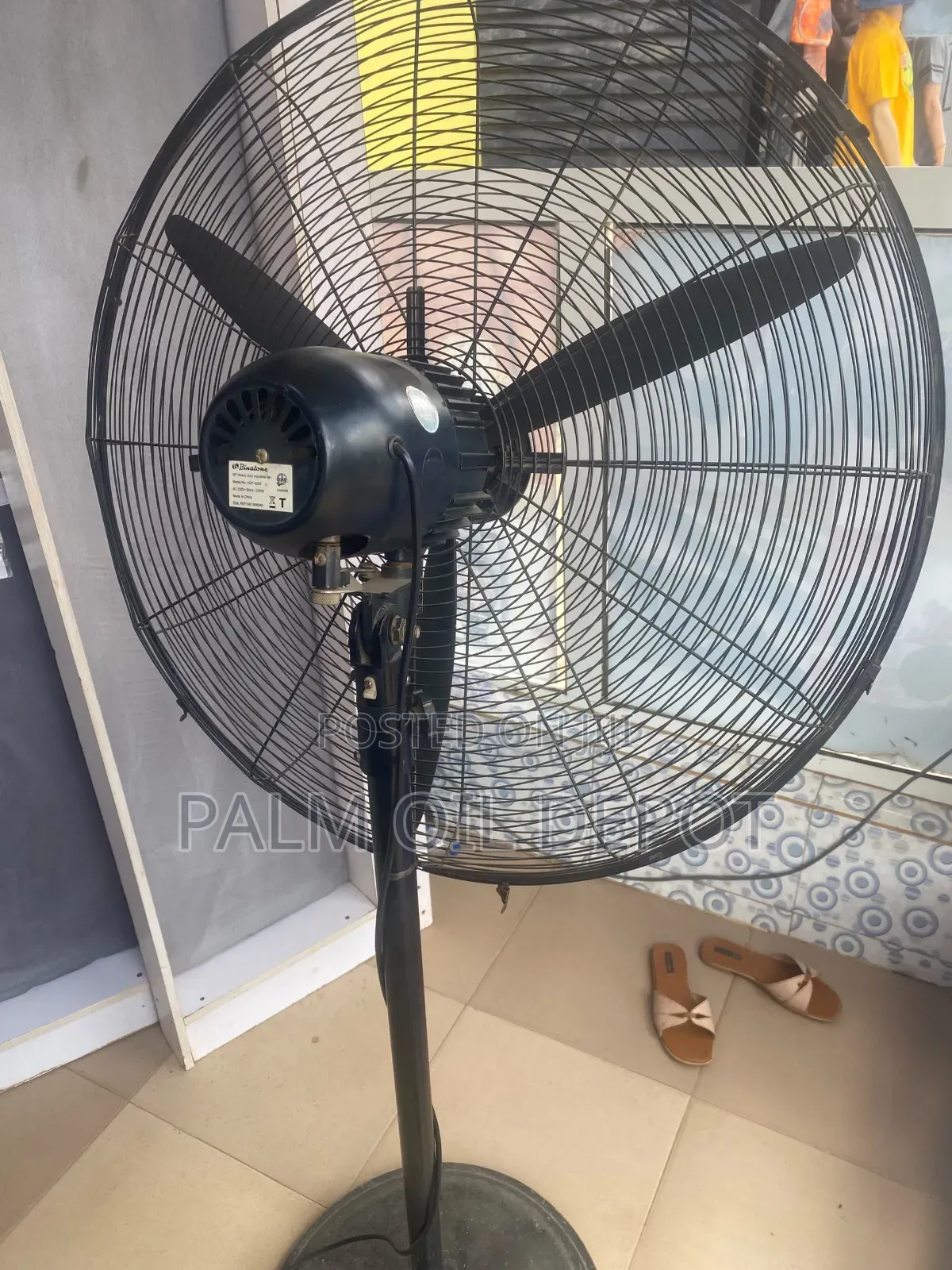 Standing Fan