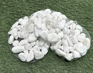 I Kg White Pebble Stones for Fountains Pools Etc