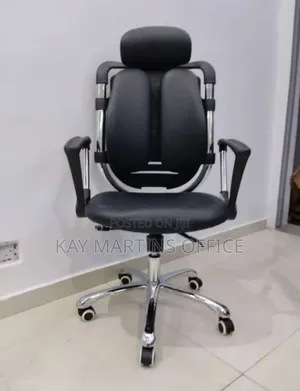 Quality Executive Director Kidney Chair With Lumber Supports