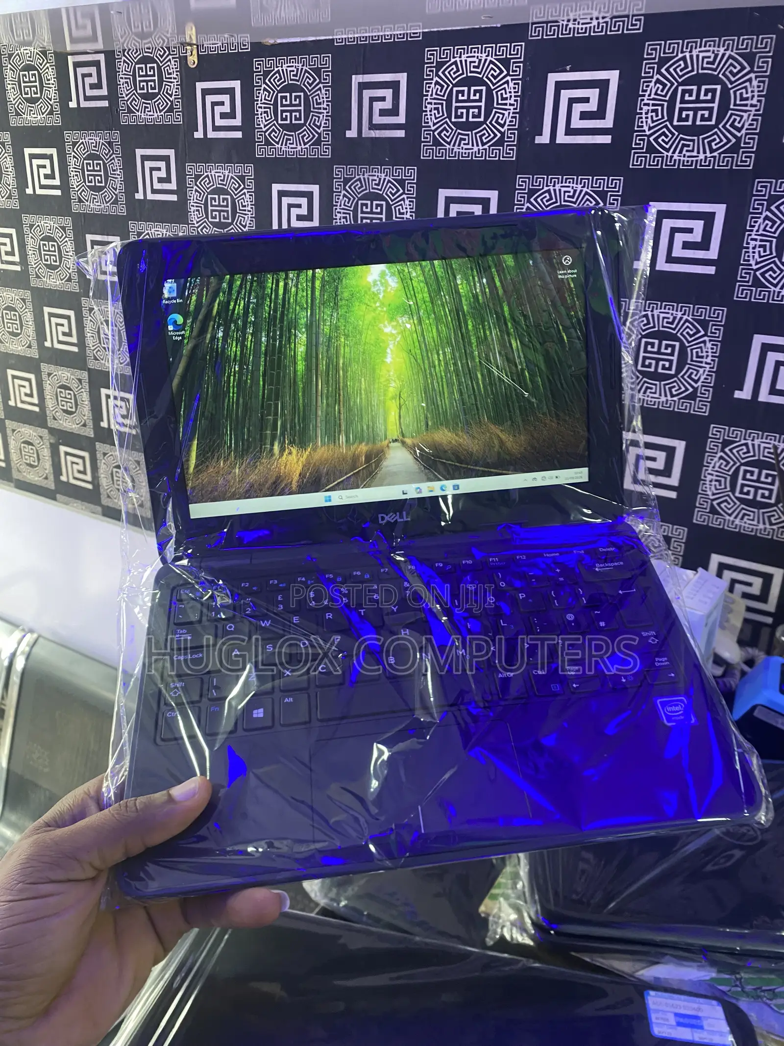 Laptop Dell Latitude 3190 4GB Intel SSD 72GB