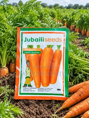 Carrot Touchon Seed