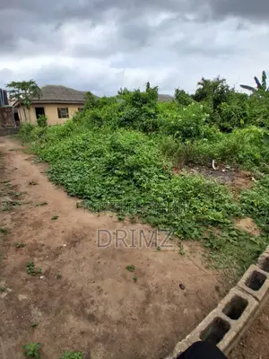 1 Plot of Land for Sale